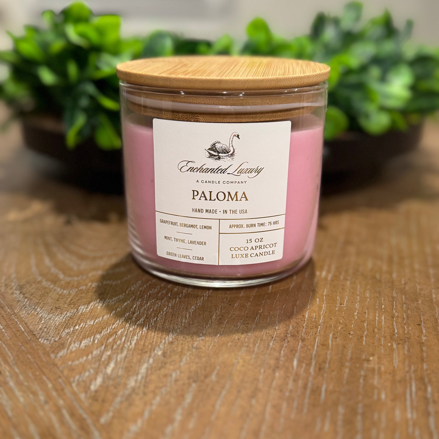 Paloma - Handmade Coco Apricot Wax Blend